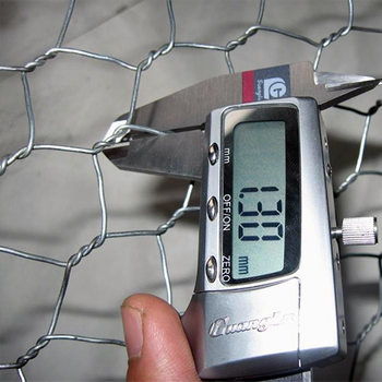 Hexagonal Wire Mesh